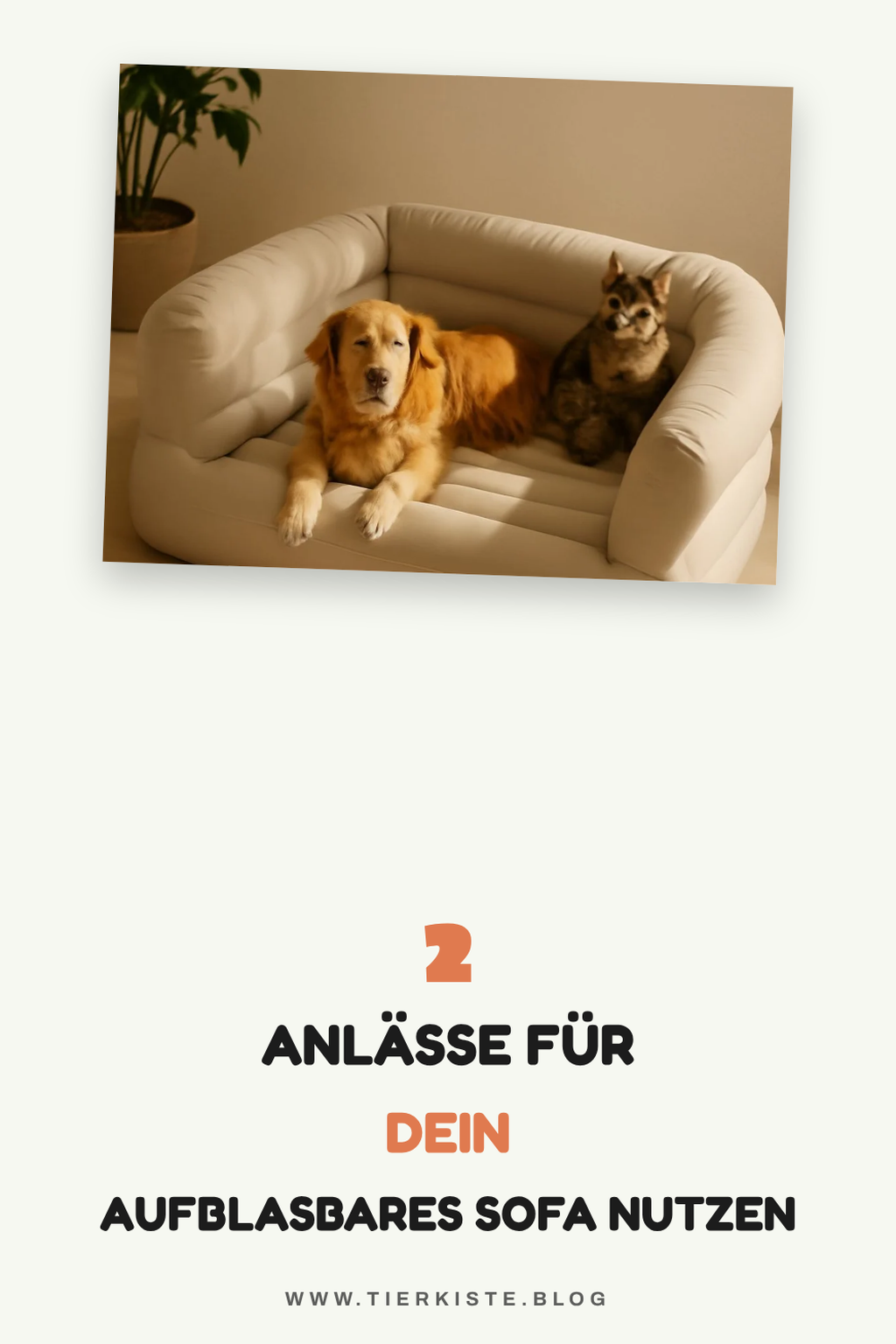 Funktionalität für verschiedene Anlässe