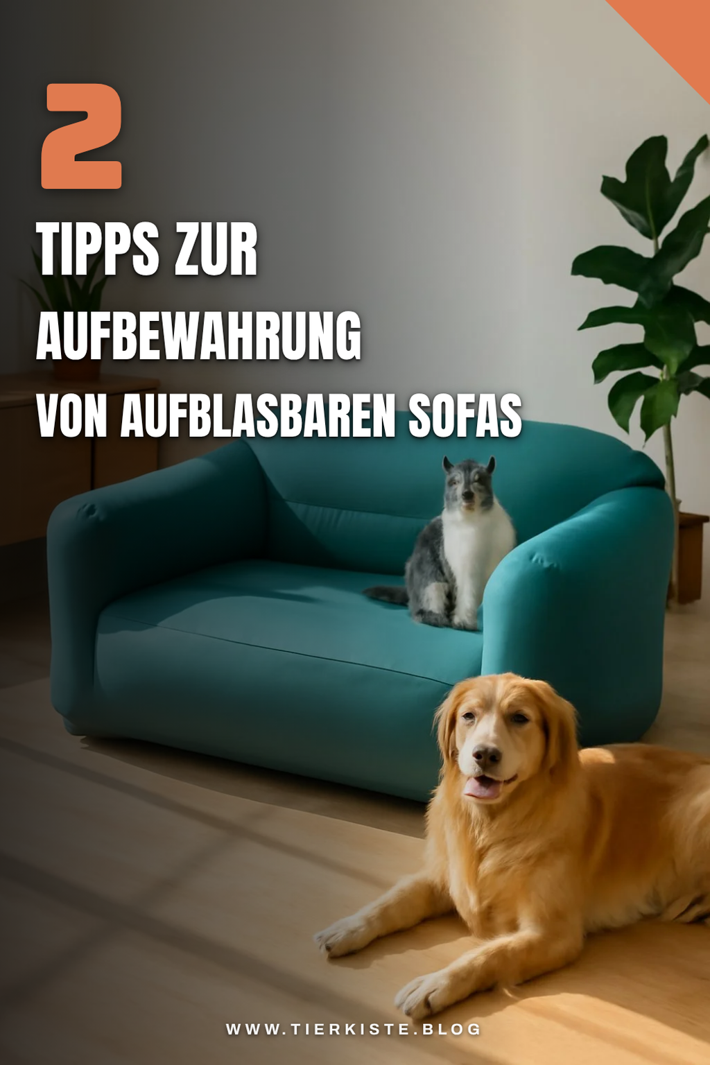 Aufbewahrung und Transport leicht gemacht