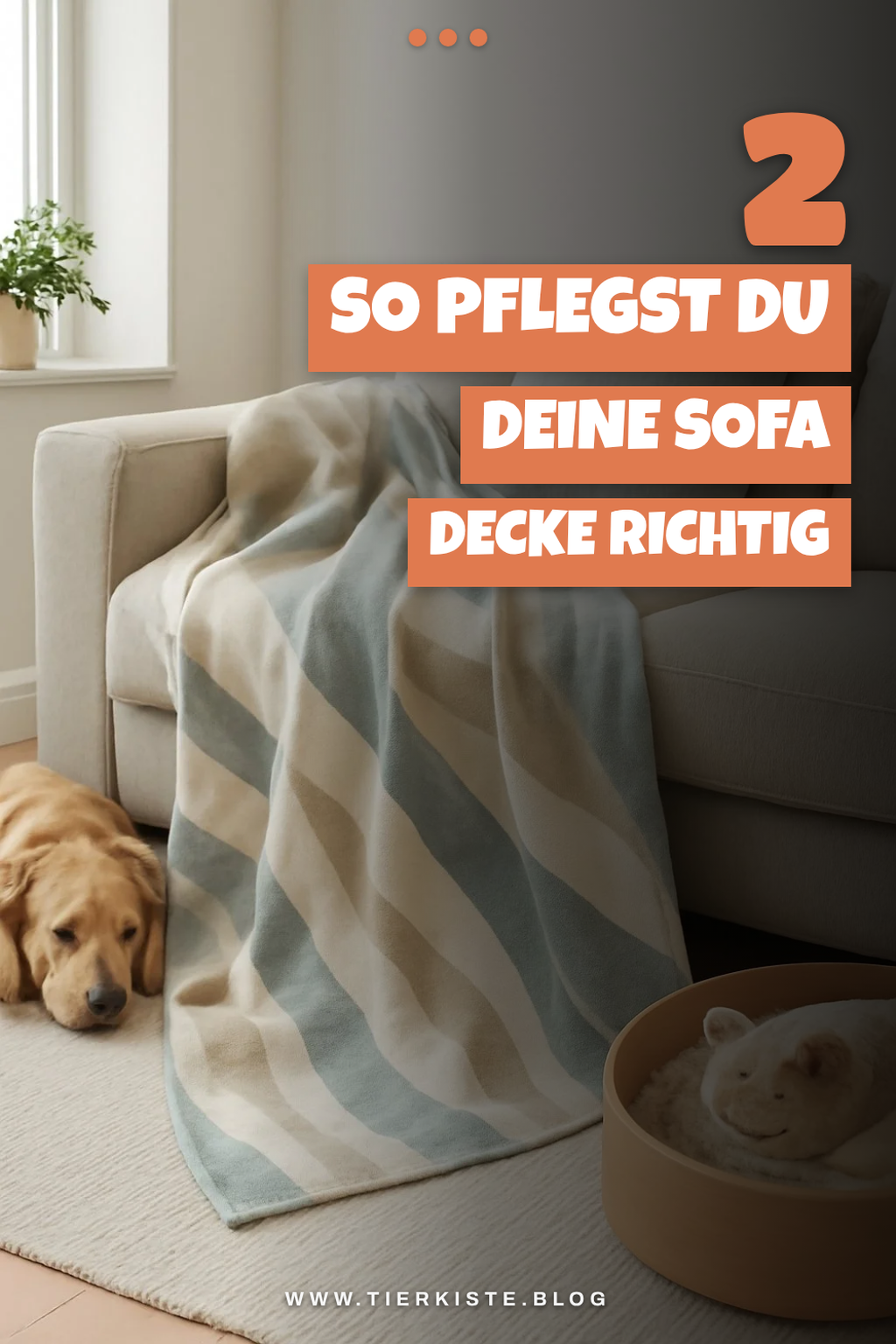 Die richtige Pflege für deine Sofa Decke