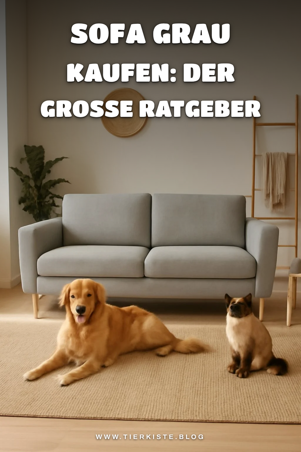 Sofa grau kaufen: Der große Ratgeber 2026