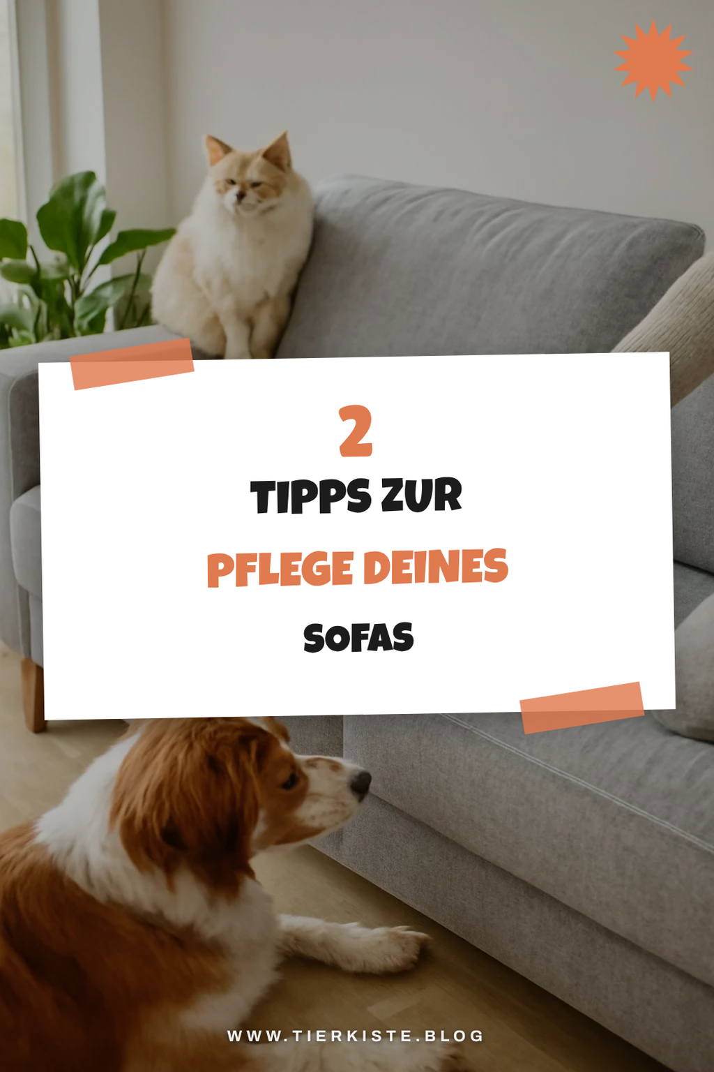 So pflegst du dein graues Sofa richtig