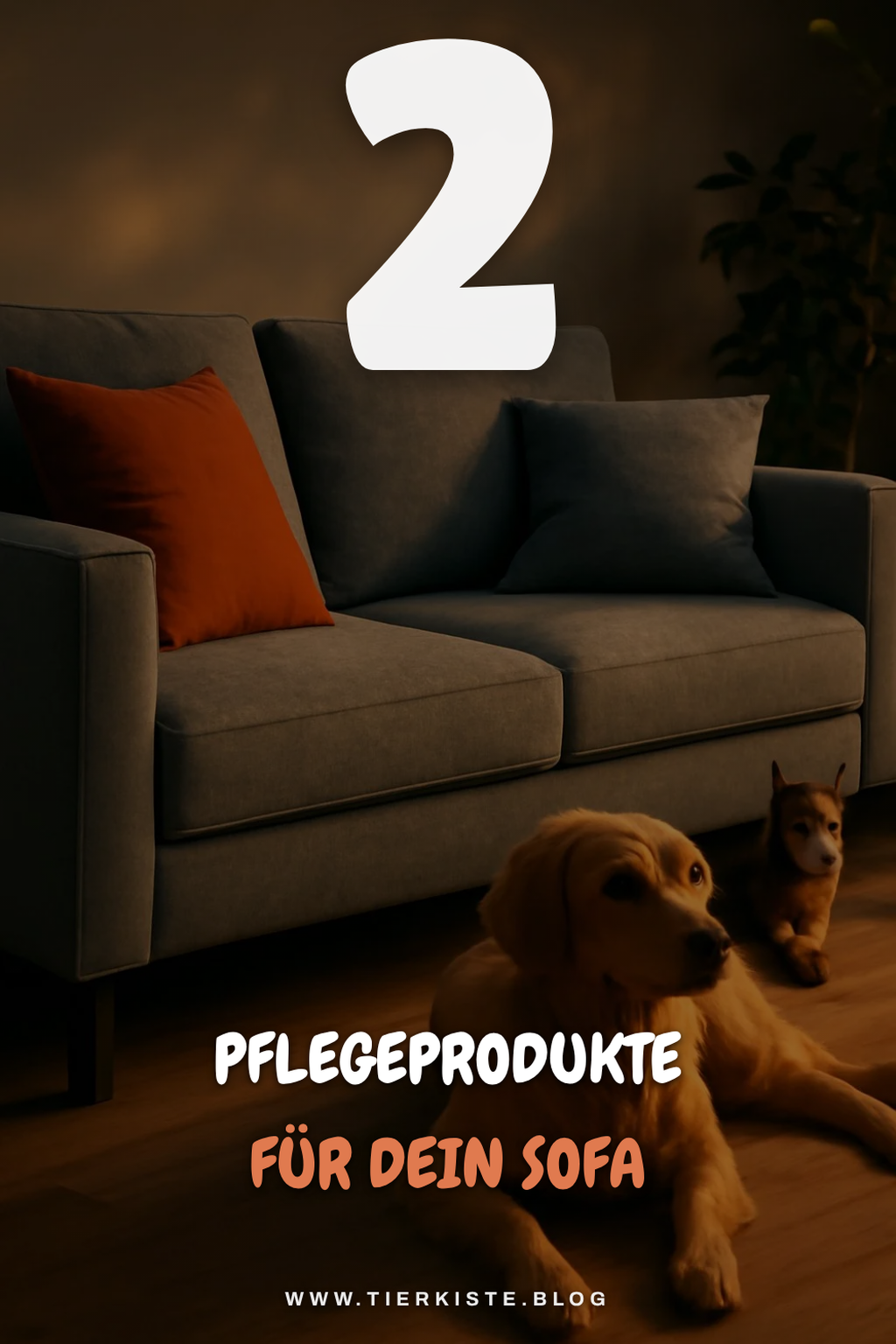 Pflegeprodukte für dein graues Sofa