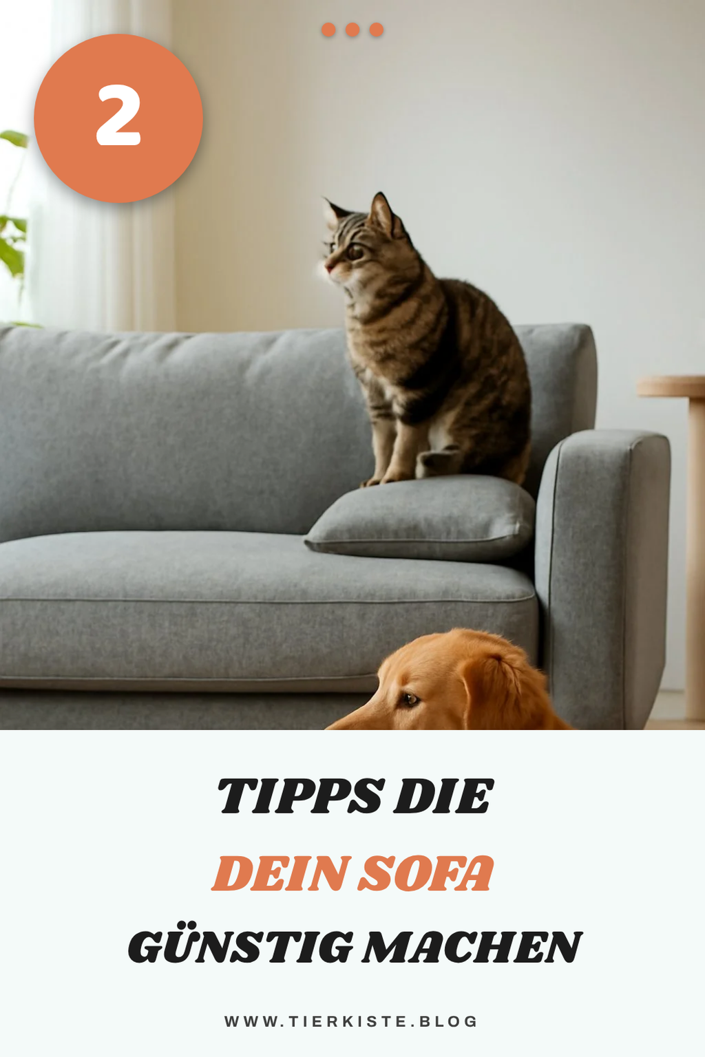 So findest du das beste Sofa für dein Budget