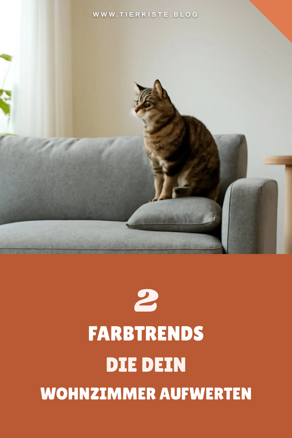Farb- und Stiltrends für Sofas