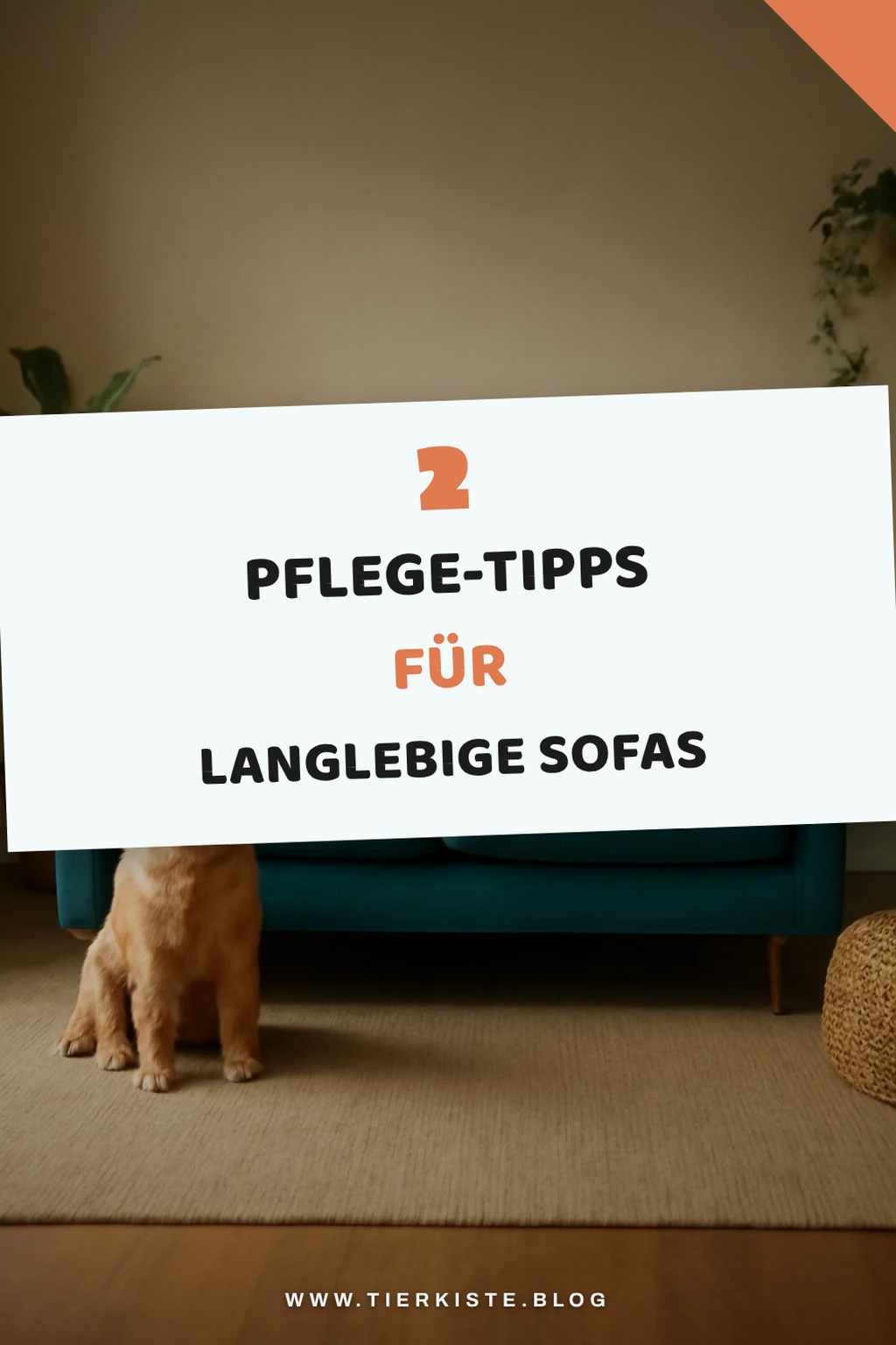Pflege und Wartung deines Sofas