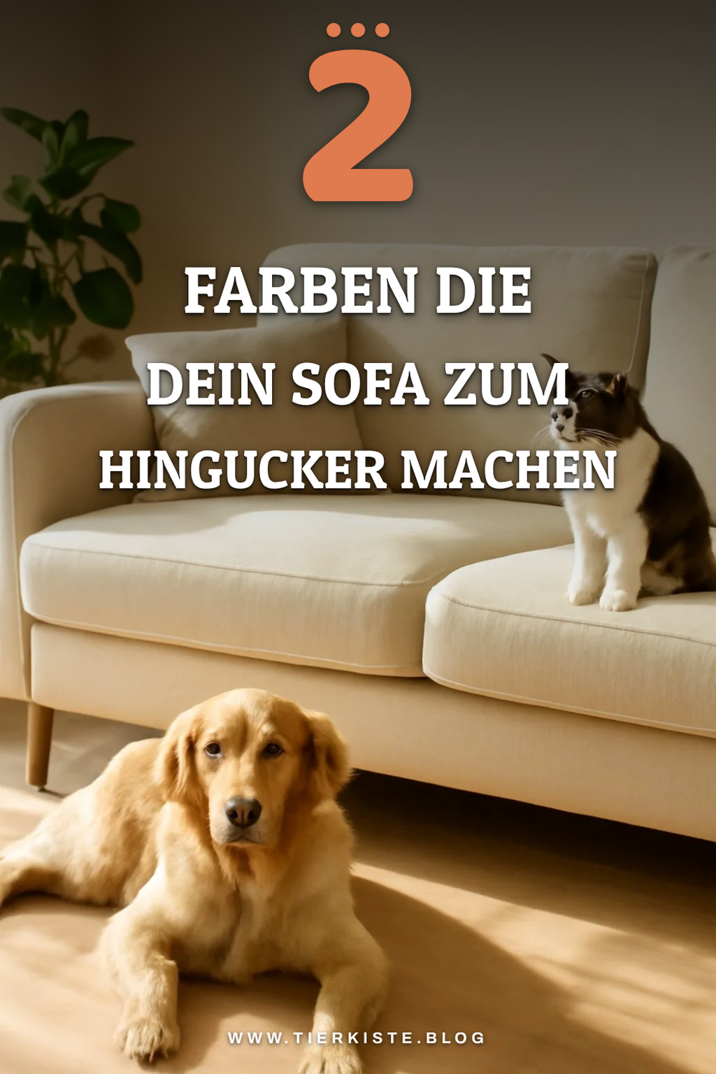 Farbauswahl für dein neues Sofa