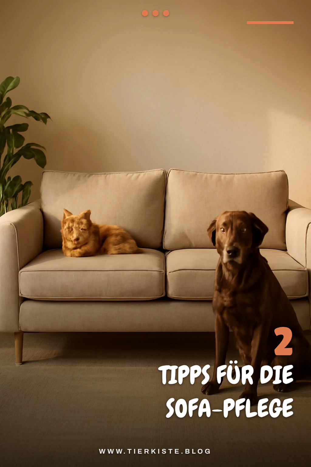 Pflege und Reinigung deines Sofas