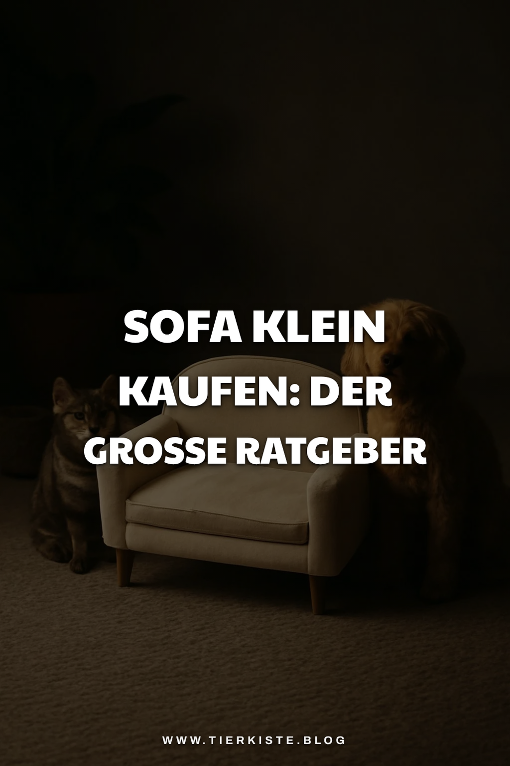 Sofa klein kaufen: Der große Ratgeber 2026