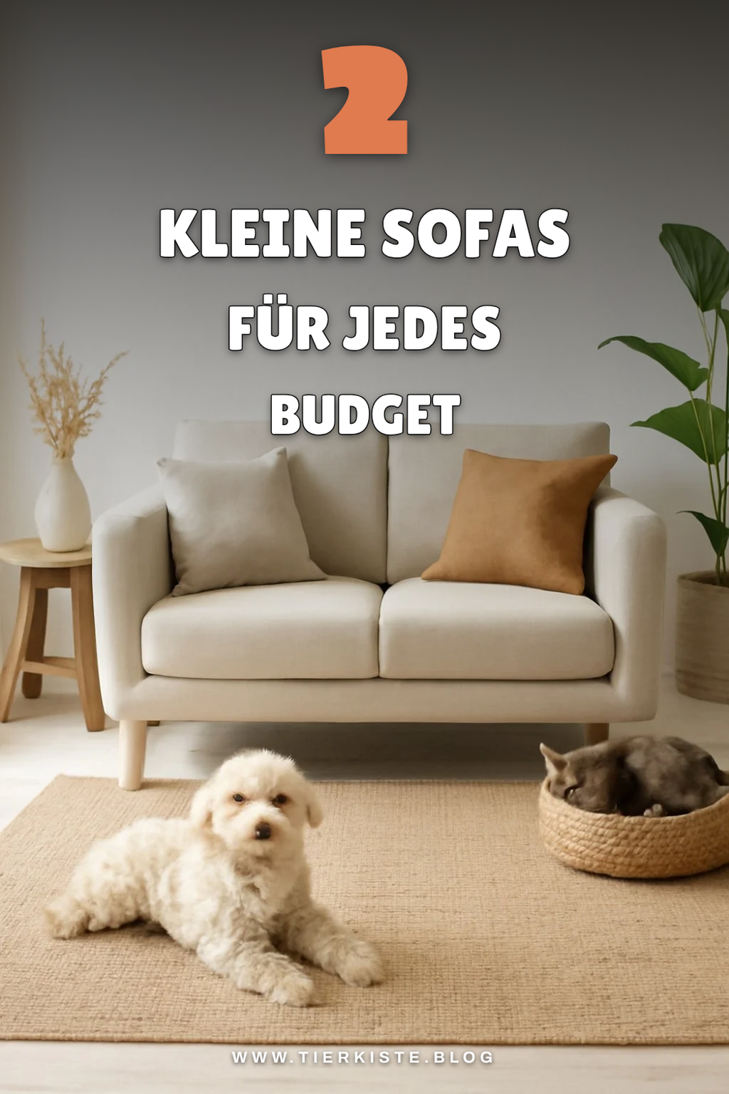 Kleine Sofas für jeden Budgetrahmen