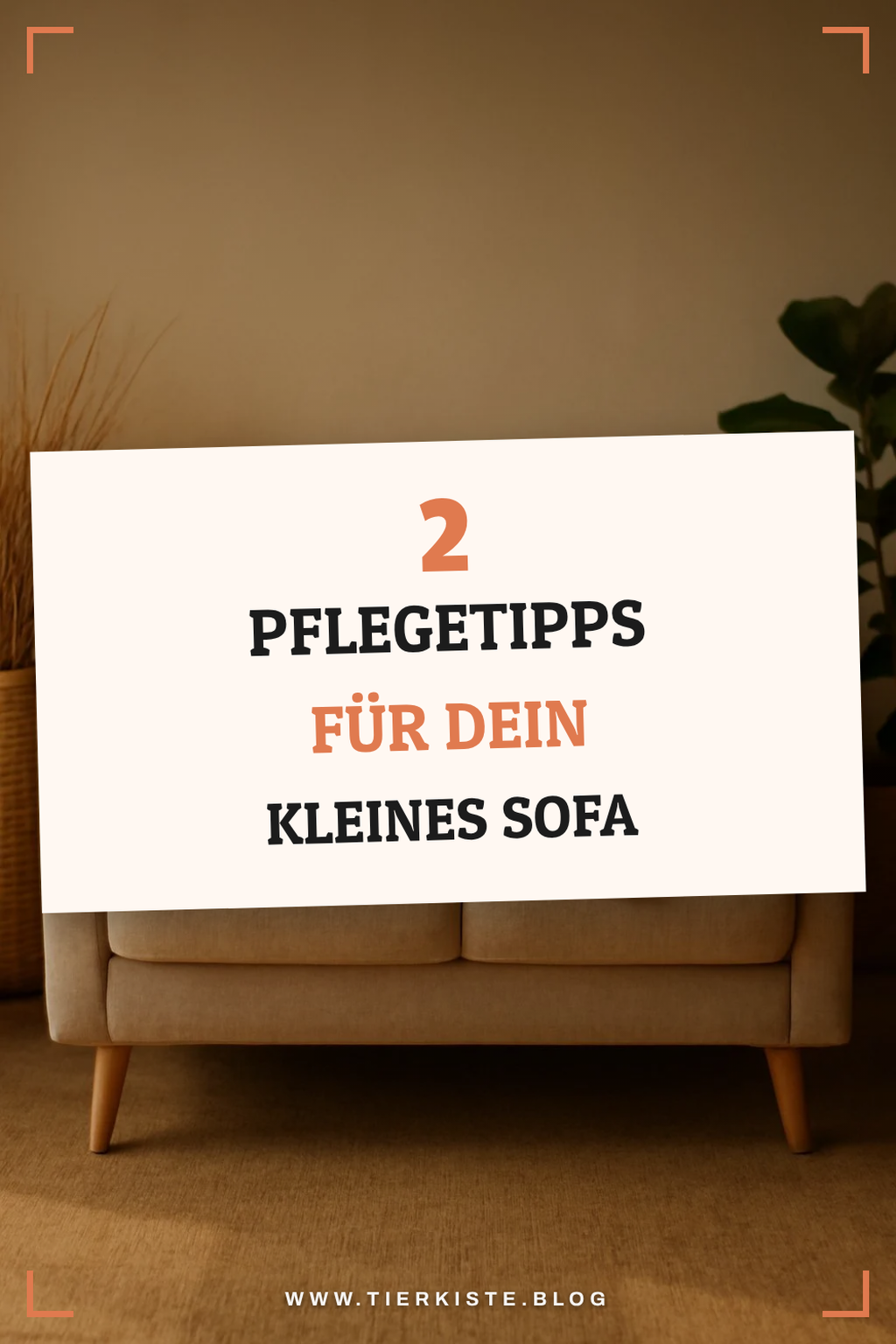 Tipps zur Pflege deines kleinen Sofas