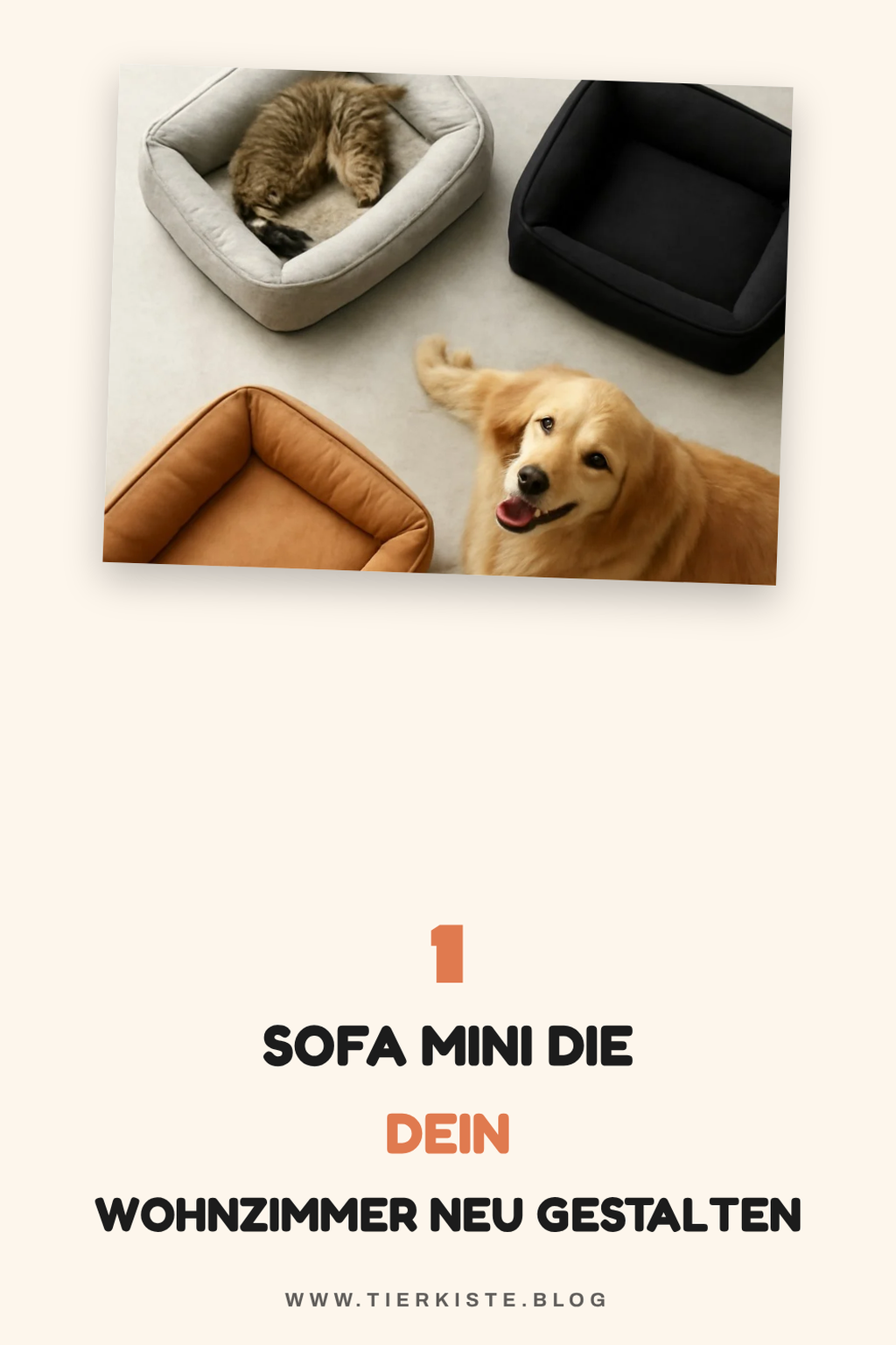 Diese 3 Sofa Mini Modelle bringen Stil in kleine Räume