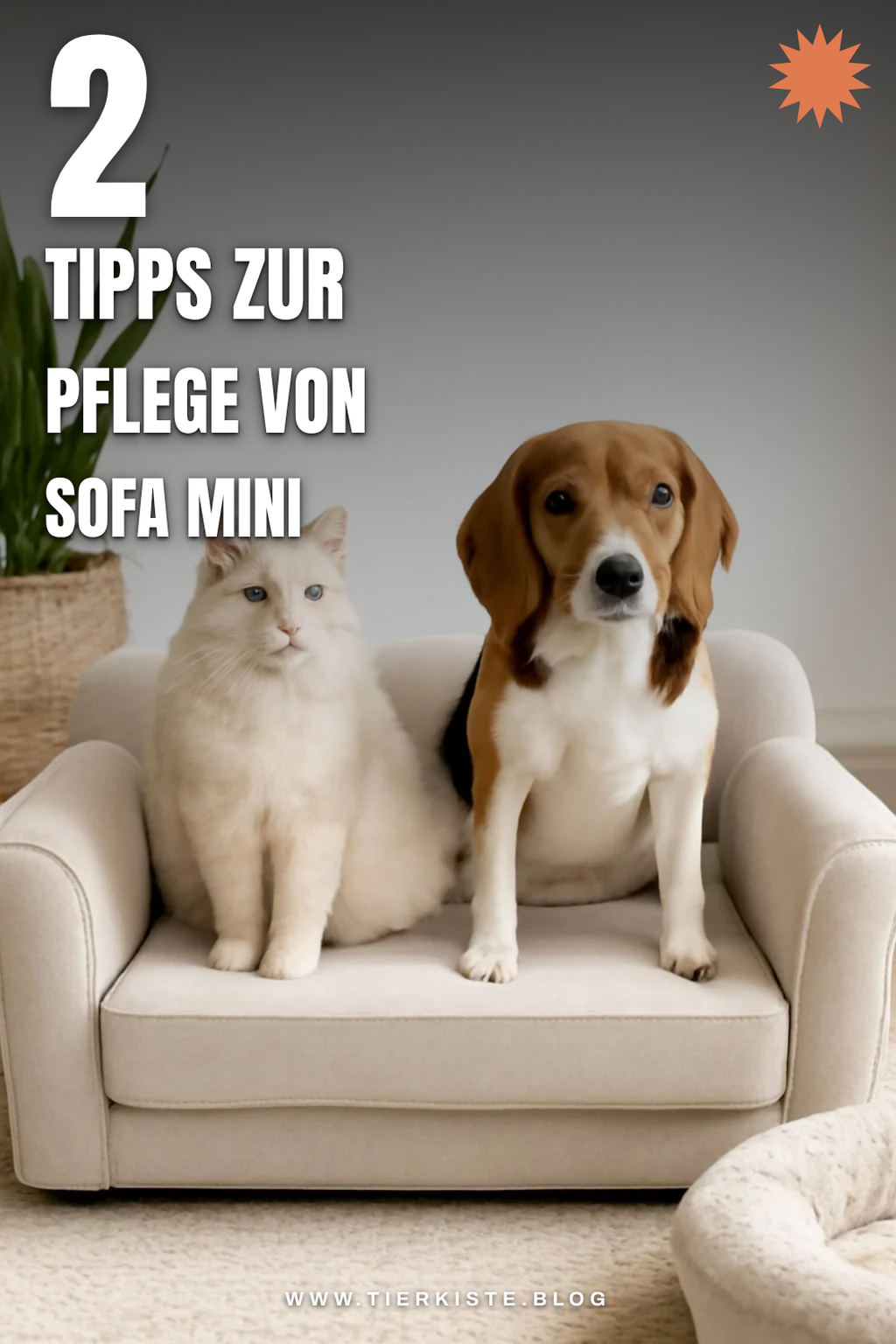 Wie pflege ich mein Sofa Mini richtig?