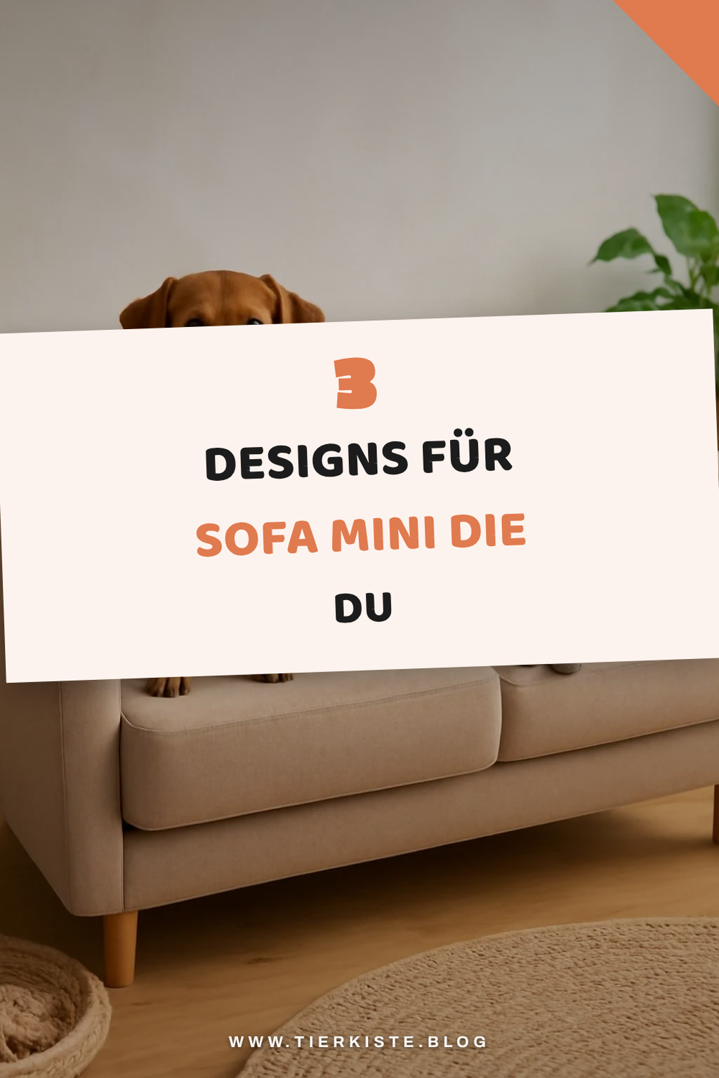 Diese 3 Sofa Mini Designs begeistern