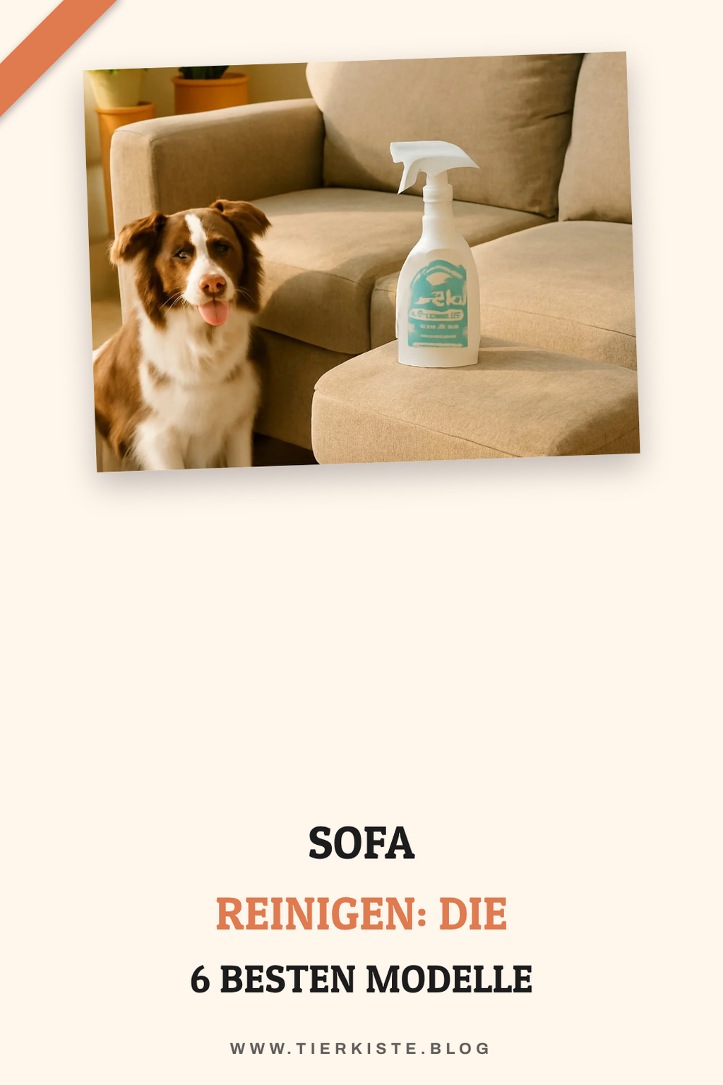 Sofa reinigen: Die 6 besten Modelle 2026 im Überblick