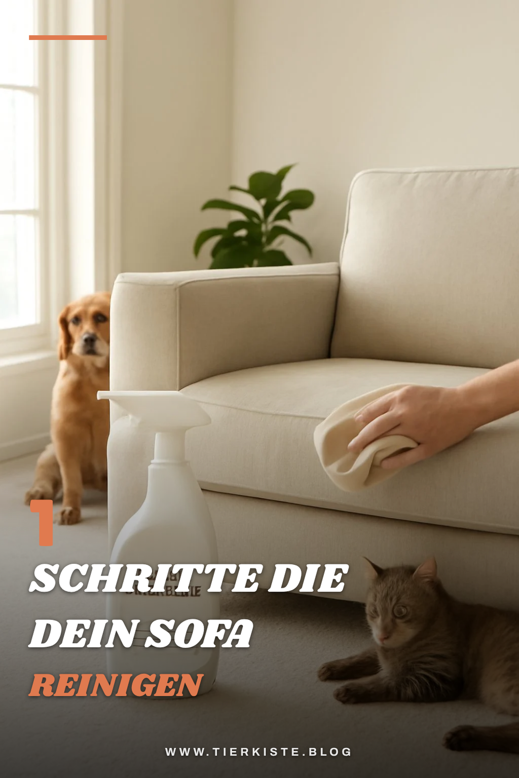 So reinigst du dein Sofa in 5 einfachen Schritten