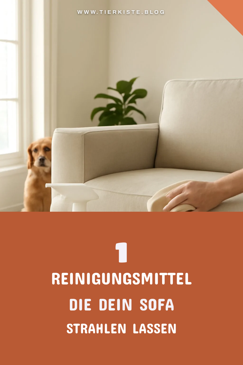 Die besten Reinigungsmittel für dein Sofa