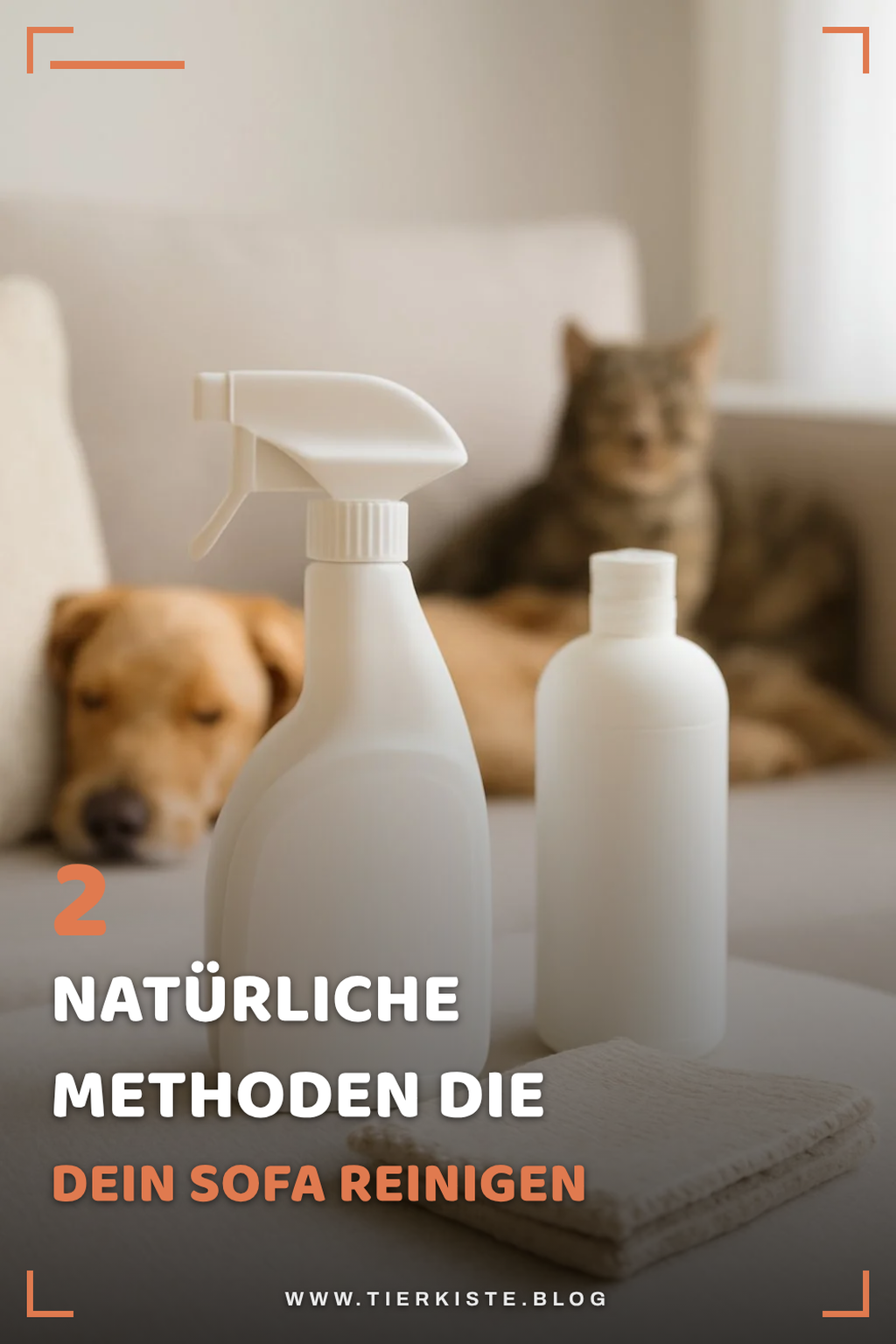 Natürliche Methoden zur Sofa-Reinigung