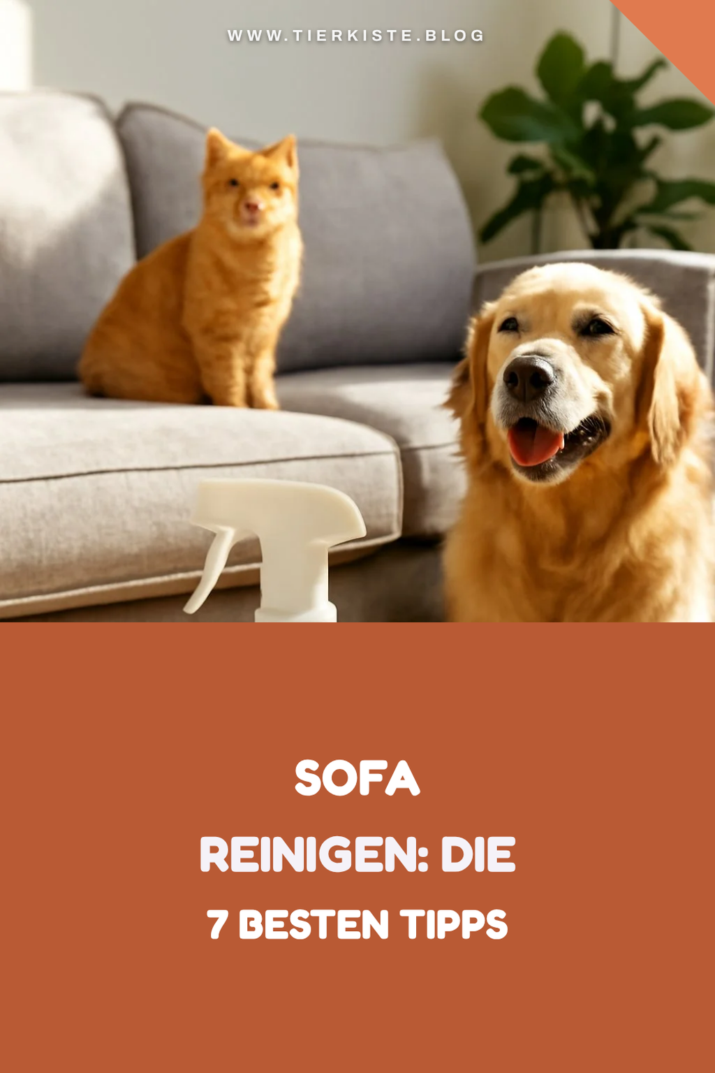 Sofa reinigen: Die 7 besten Tipps gegen Flecken