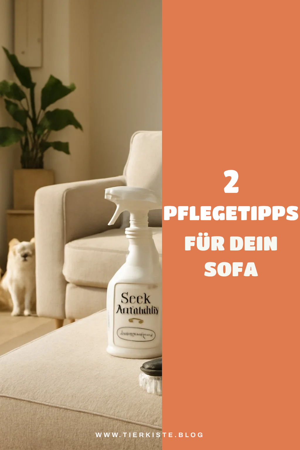 So pflegst du dein Sofa richtig
