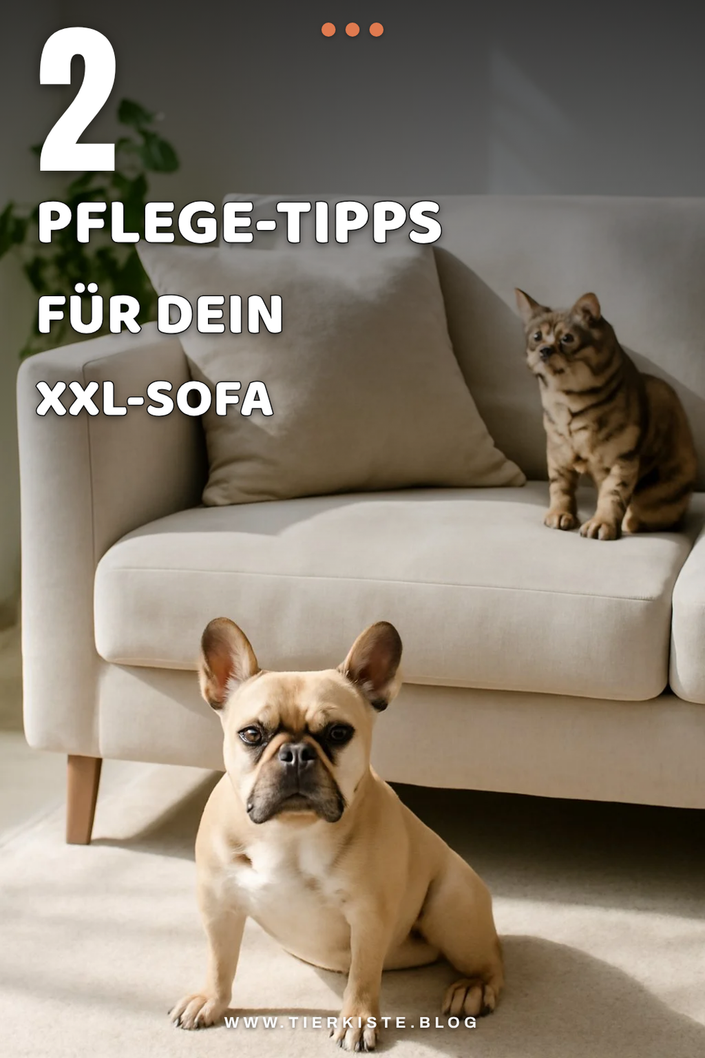 So pflegst du dein XXL-Sofa richtig