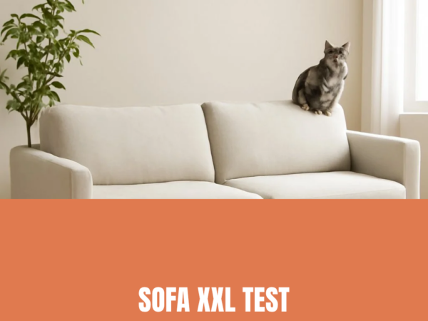 Sofa XXL Test 2026: Die 7 besten Modelle im Vergleich
