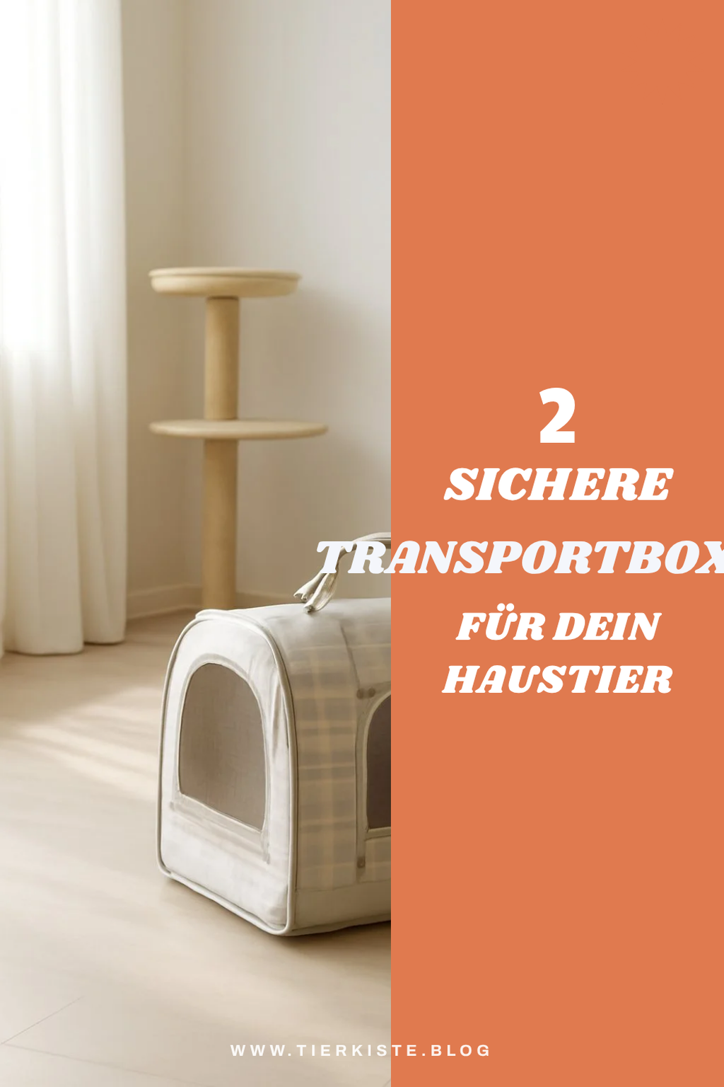 Diese Transportboxen sind besonders sicher