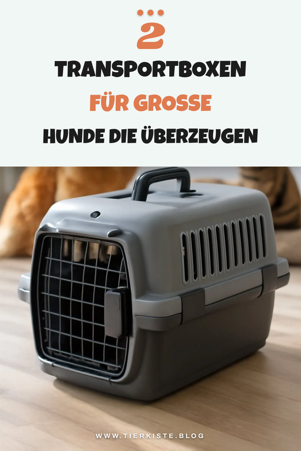 Die besten Transportboxen für große Hunde