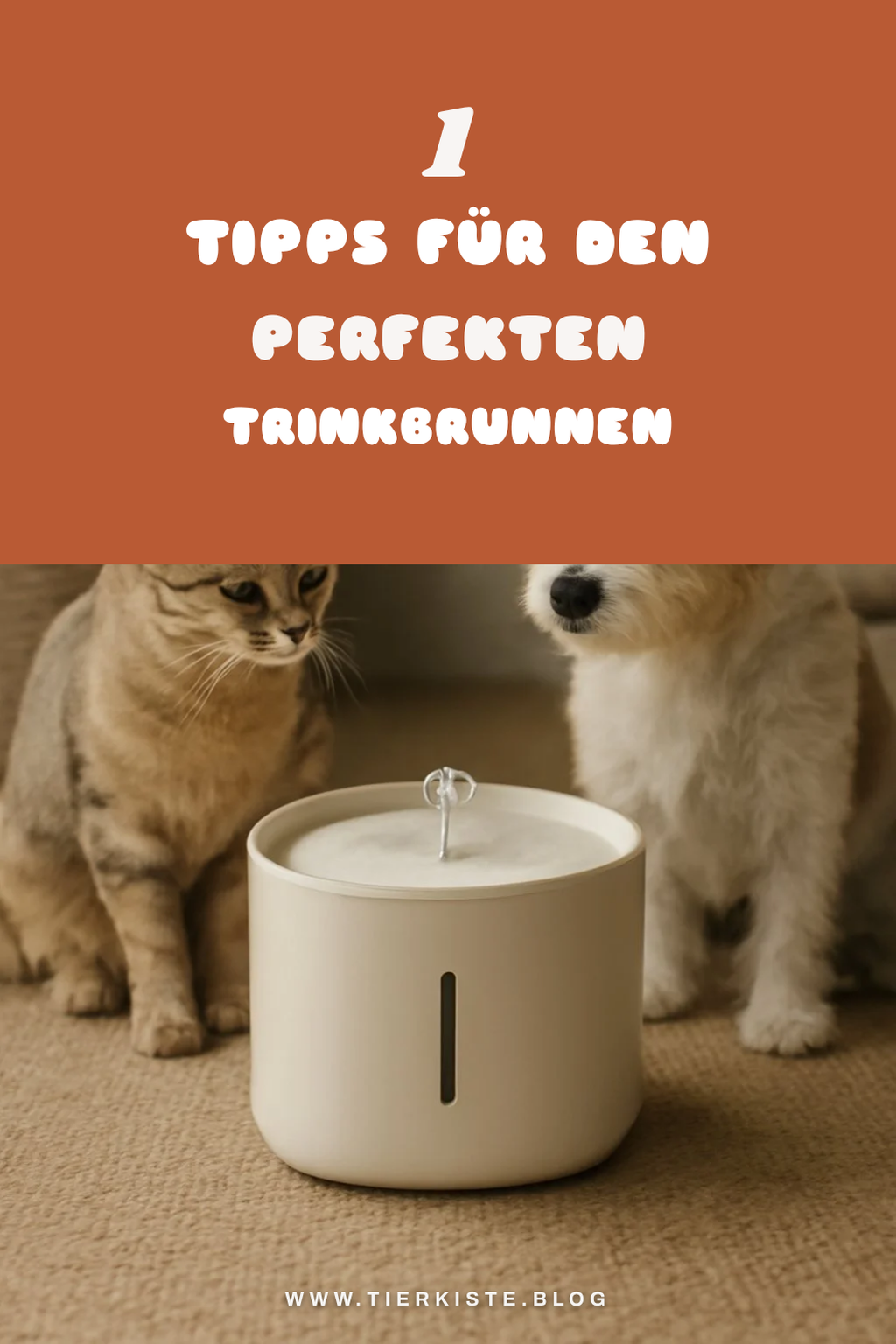 So findest du den perfekten Trinkbrunnen für dein Zuhause