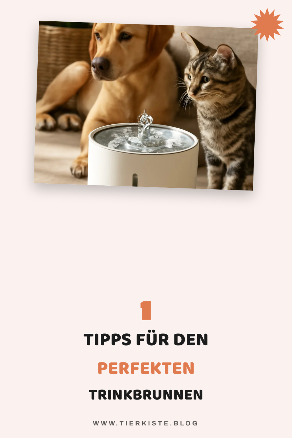 Mehr Empfehlungen aus dieser Kategorie