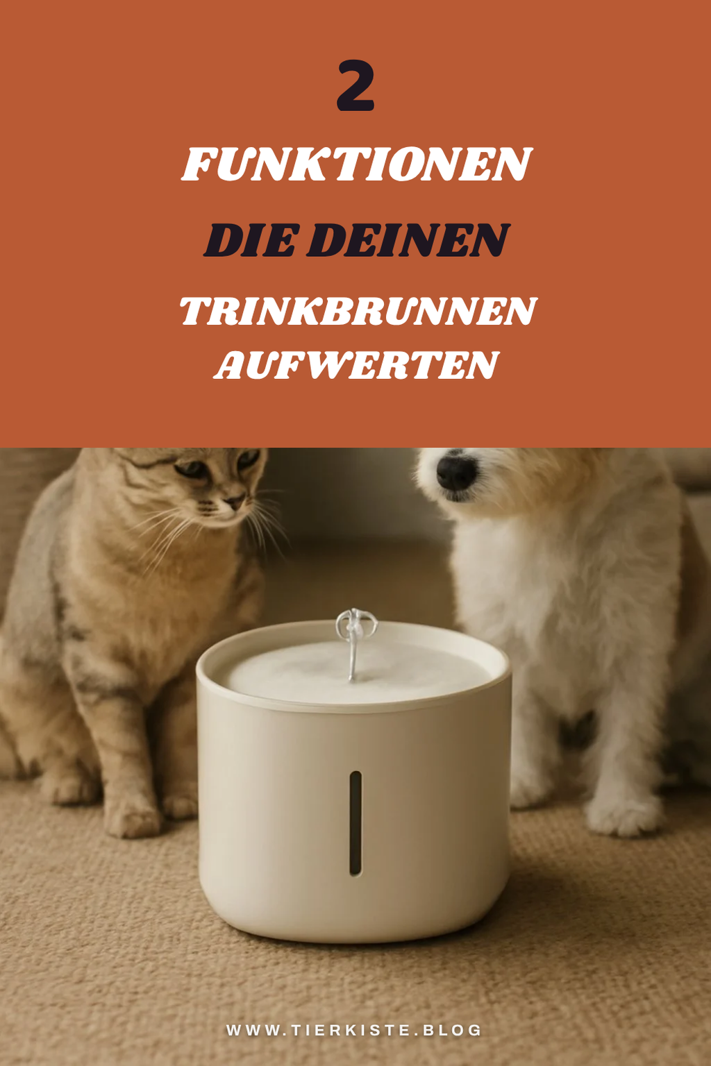 Diese Funktionen machen einen Trinkbrunnen besonders