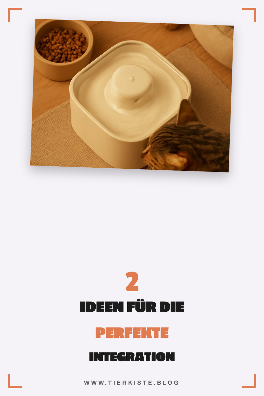 So integrierst du deinen Trinkbrunnen ins Zuhause