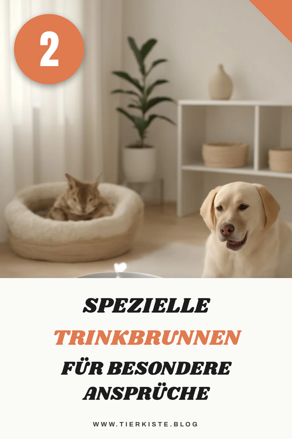 Trinkbrunnen für spezielle Bedürfnisse