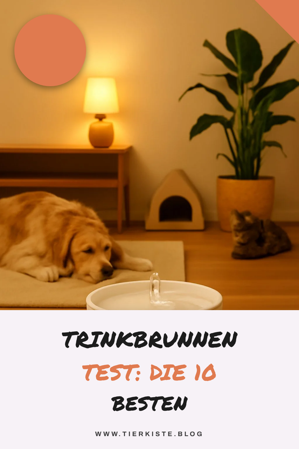 Trinkbrunnen Test: Die 10 besten für mehr Trinkfreude