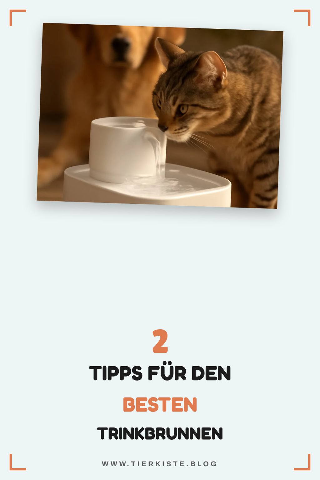 So findest du den perfekten Trinkbrunnen für dein Zuhause