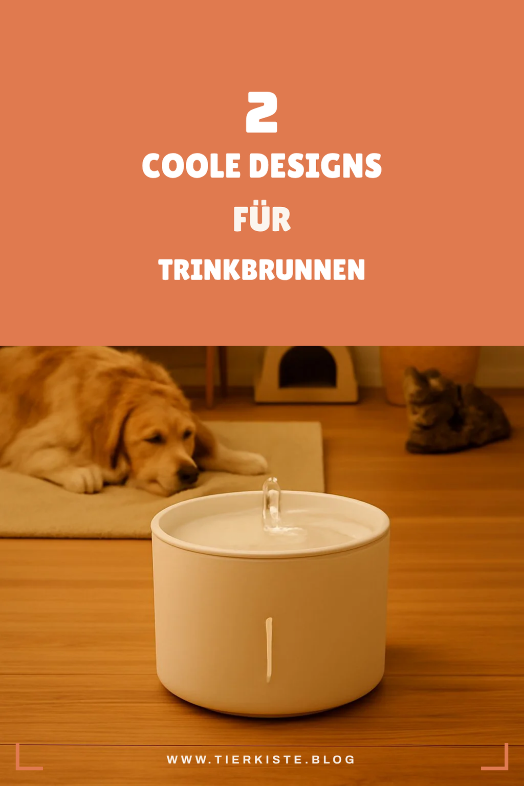 Die besten Designs für Trinkbrunnen in deiner Küche
