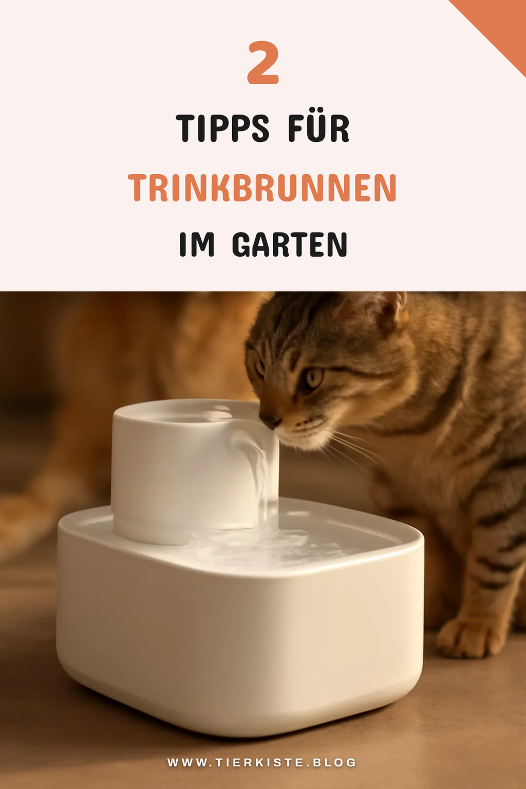 Trinkbrunnen für den Außenbereich auswählen