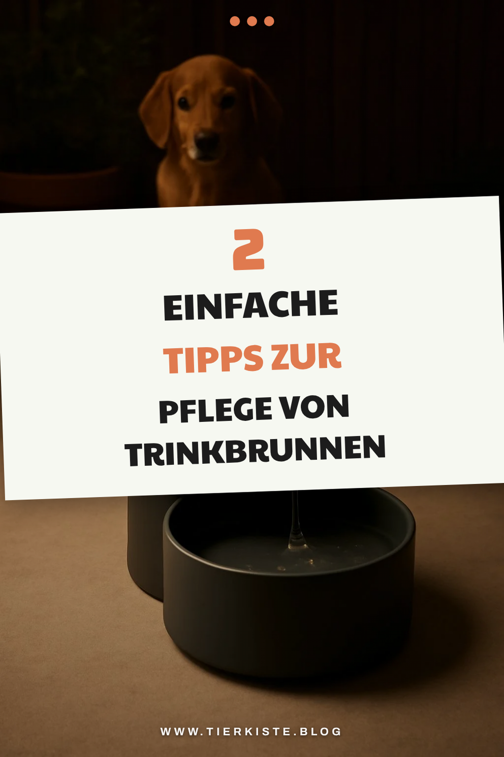 Pflege und Wartung von Trinkbrunnen