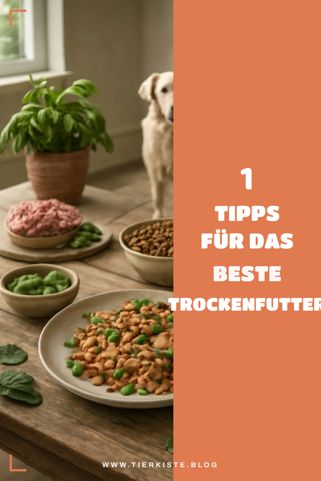 Mehr Empfehlungen aus dieser Kategorie