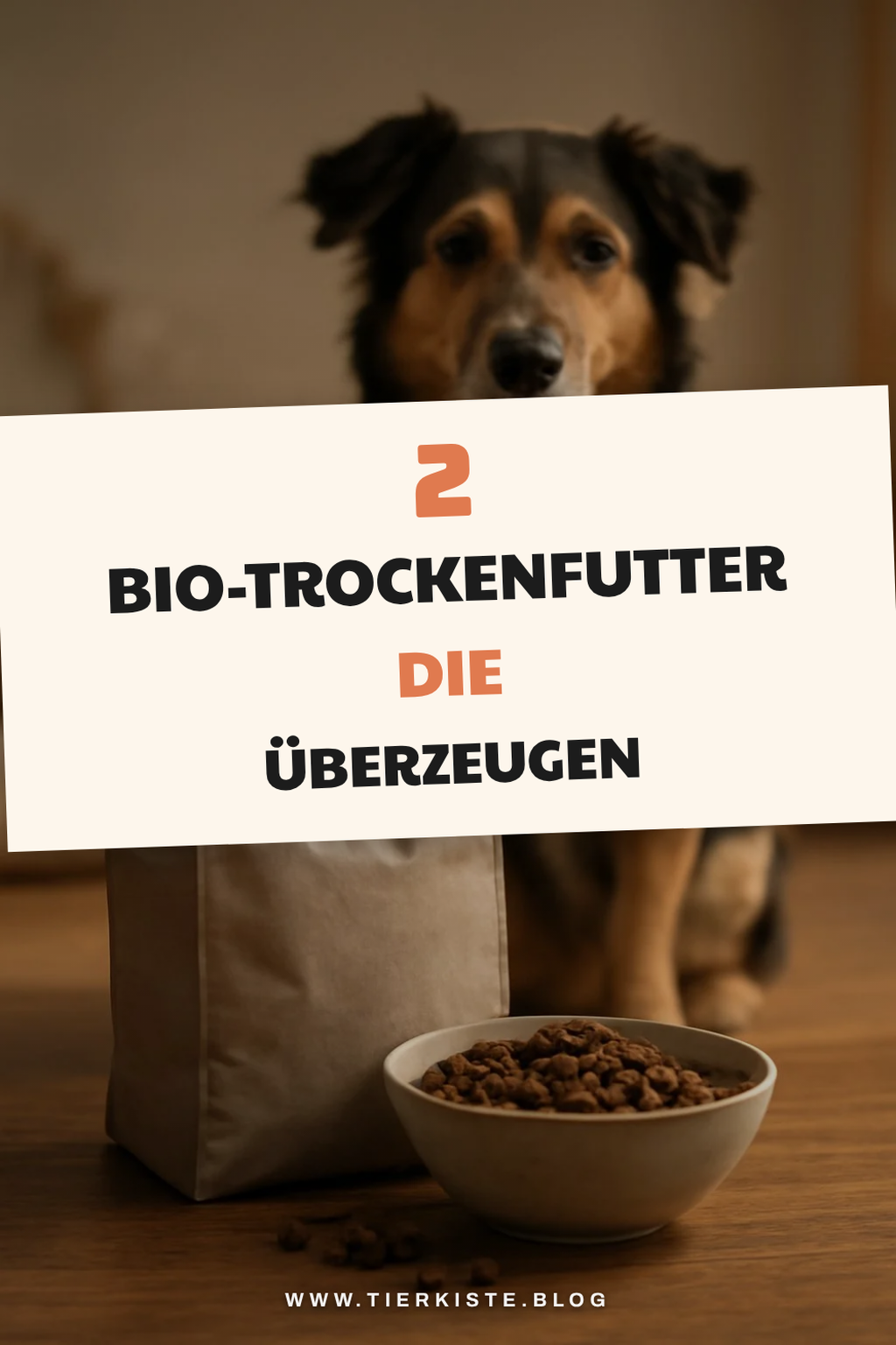 Die besten Bio-Trockenfutter für Hunde