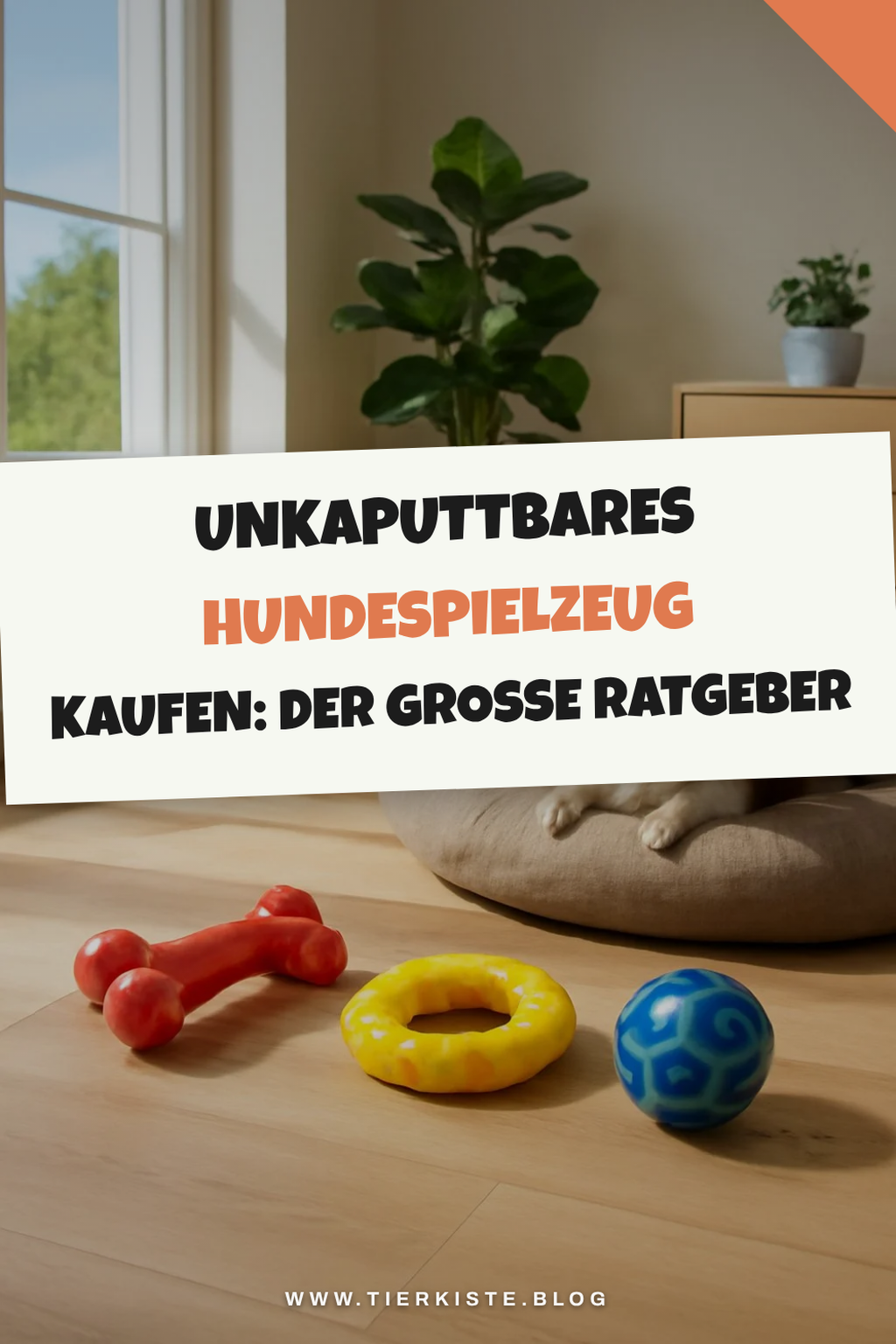 Unkaputtbares Hundespielzeug kaufen: Der große Ratgeber