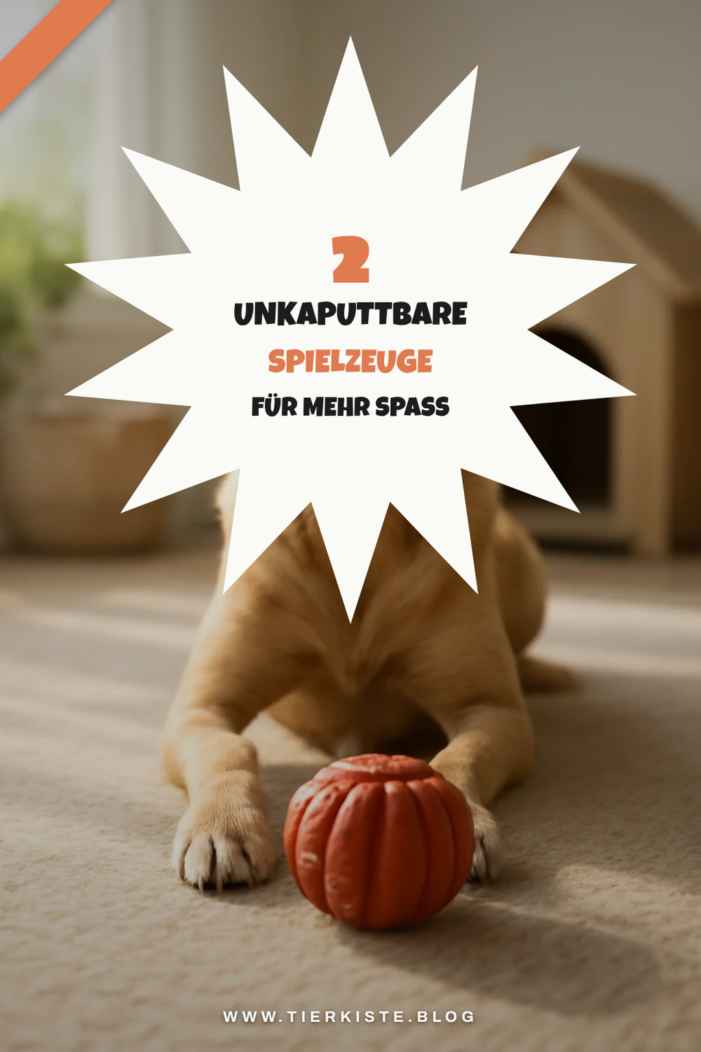 So findest du unkaputtbares Hundespielzeug für deinen Liebling