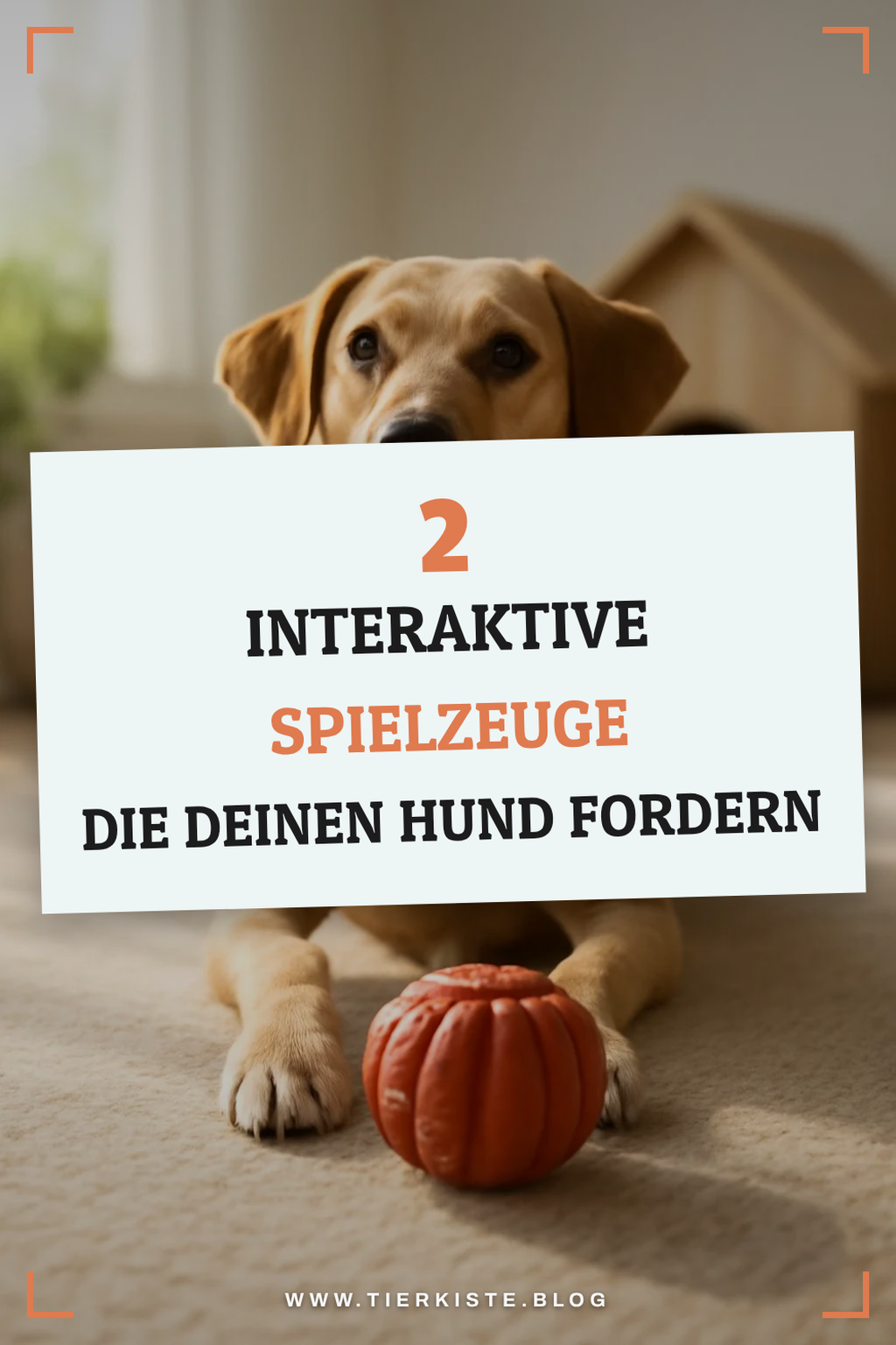 Interaktive Spielzeuge für mentale Stimulation