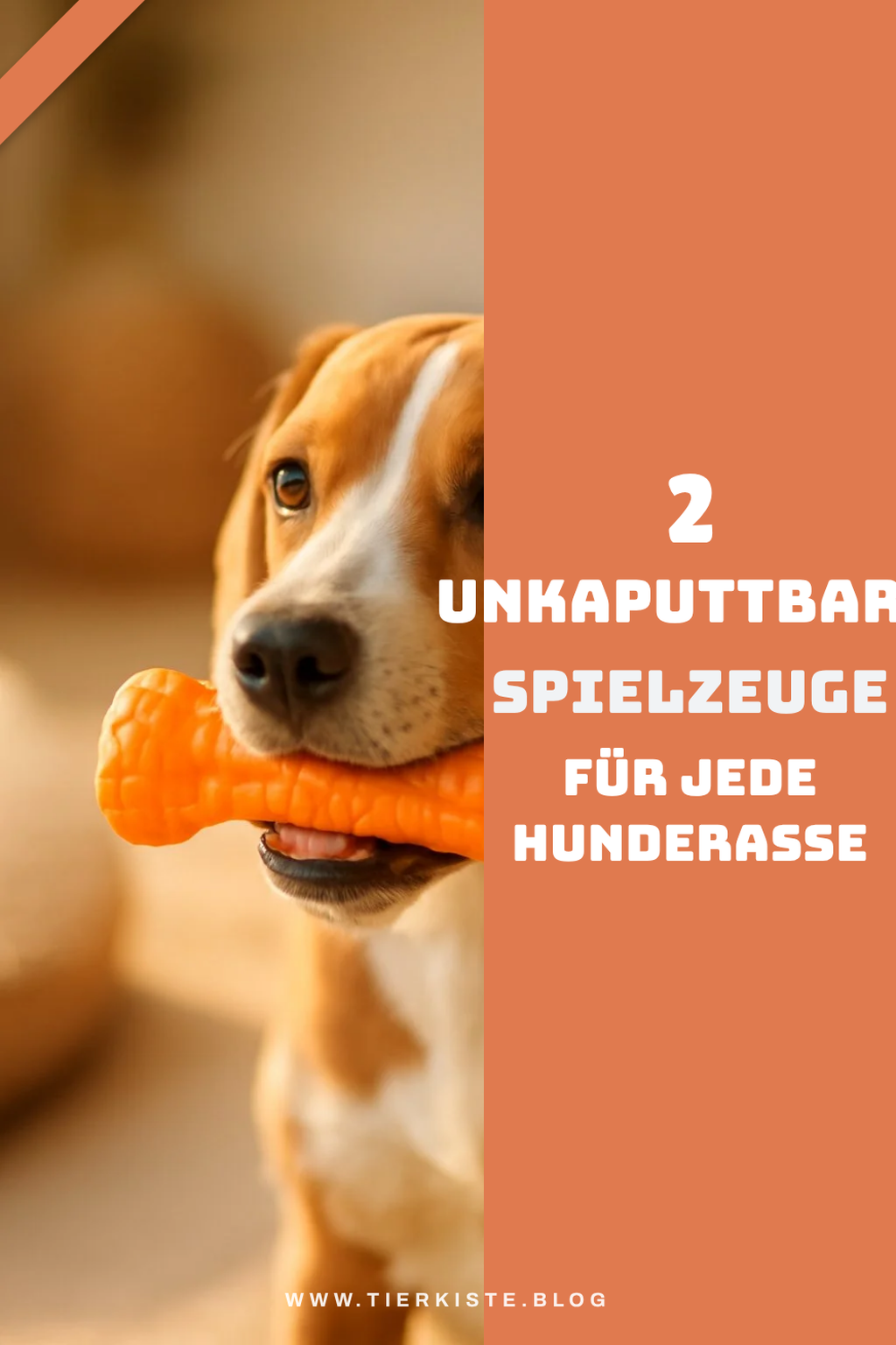 Die besten Spielzeuge für verschiedene Rassen