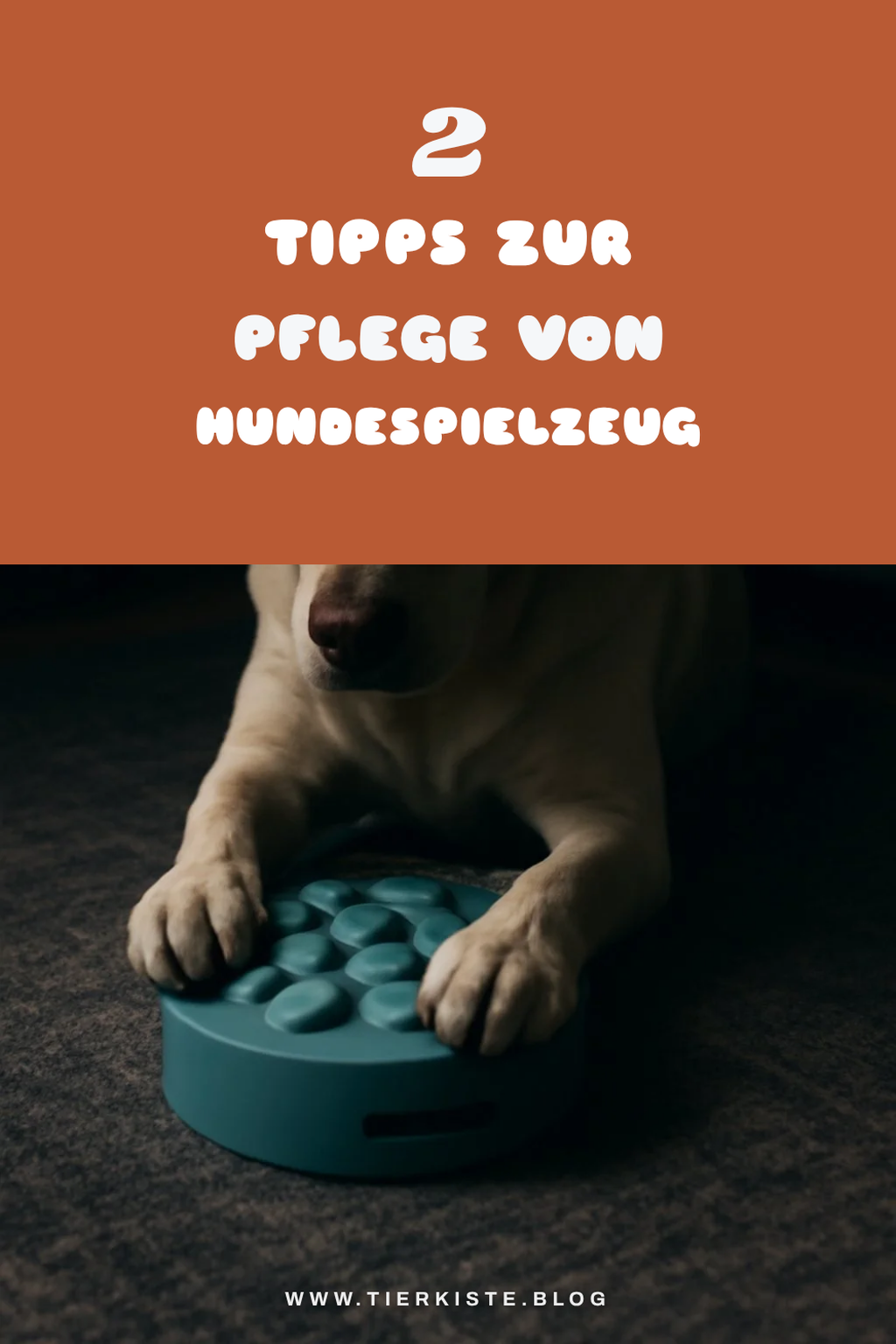 Pflege und Reinigung von Hundespielzeug