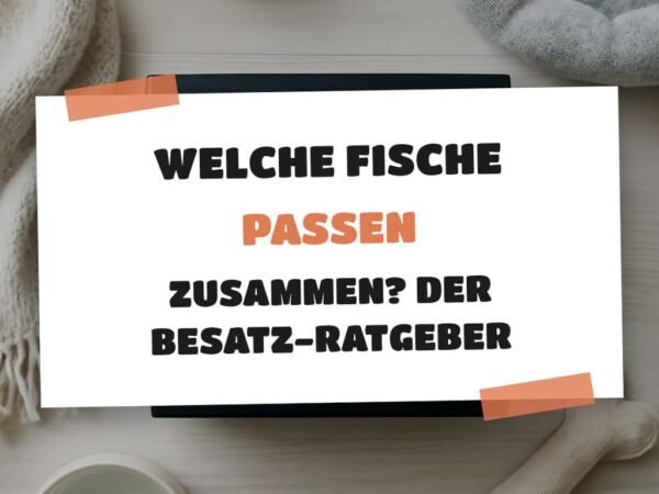 Welche Fische passen zusammen? Der Besatz-Ratgeber