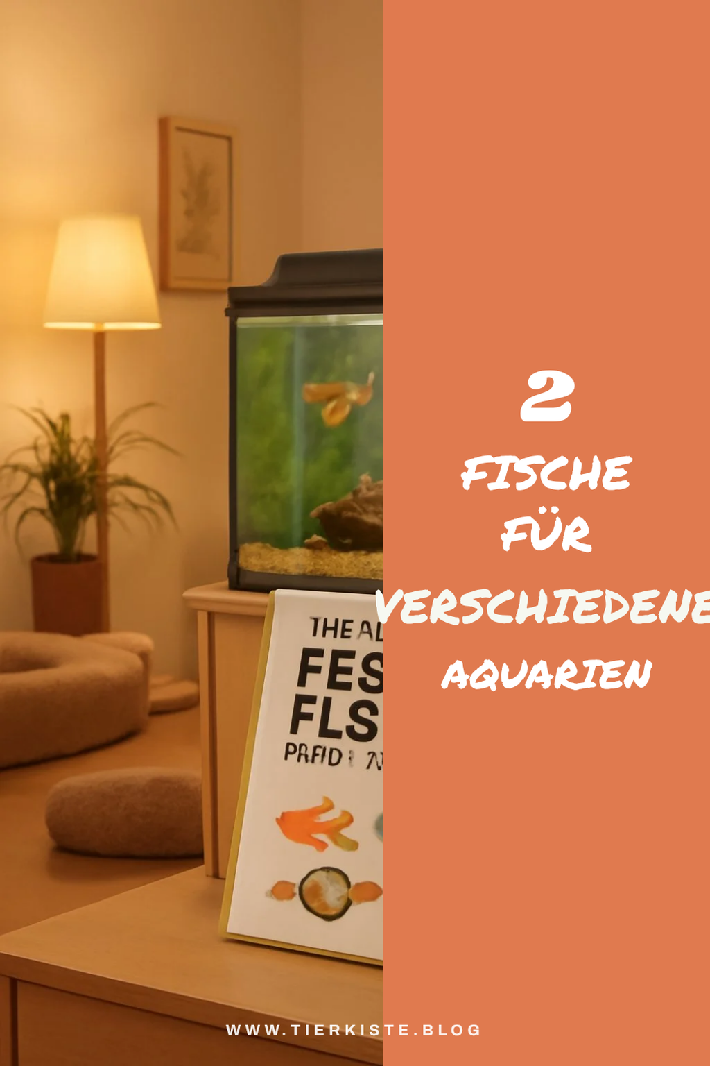 Fische für unterschiedliche Aquarienarten