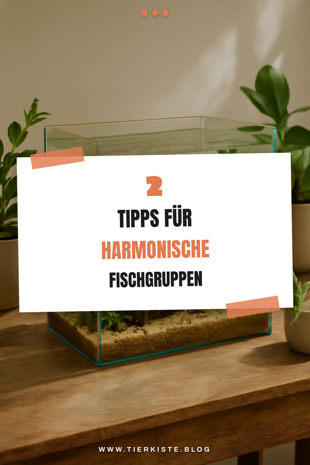 Tipps für die Zusammenstellung deines Aquariums