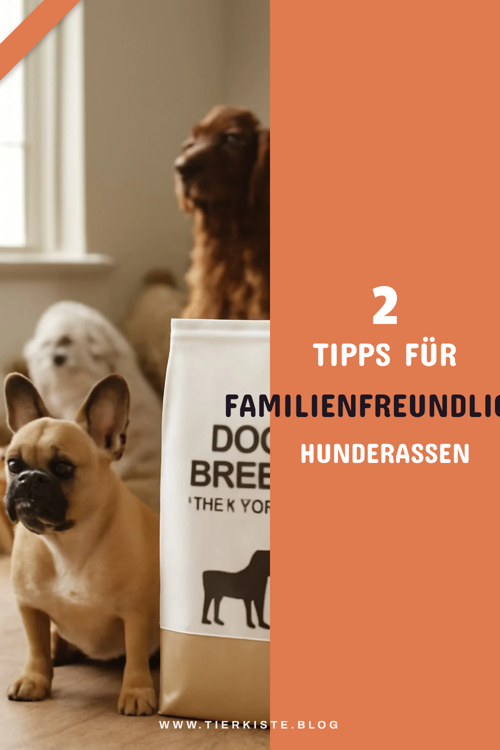 So findest du die richtige Hunderasse für deine Familie