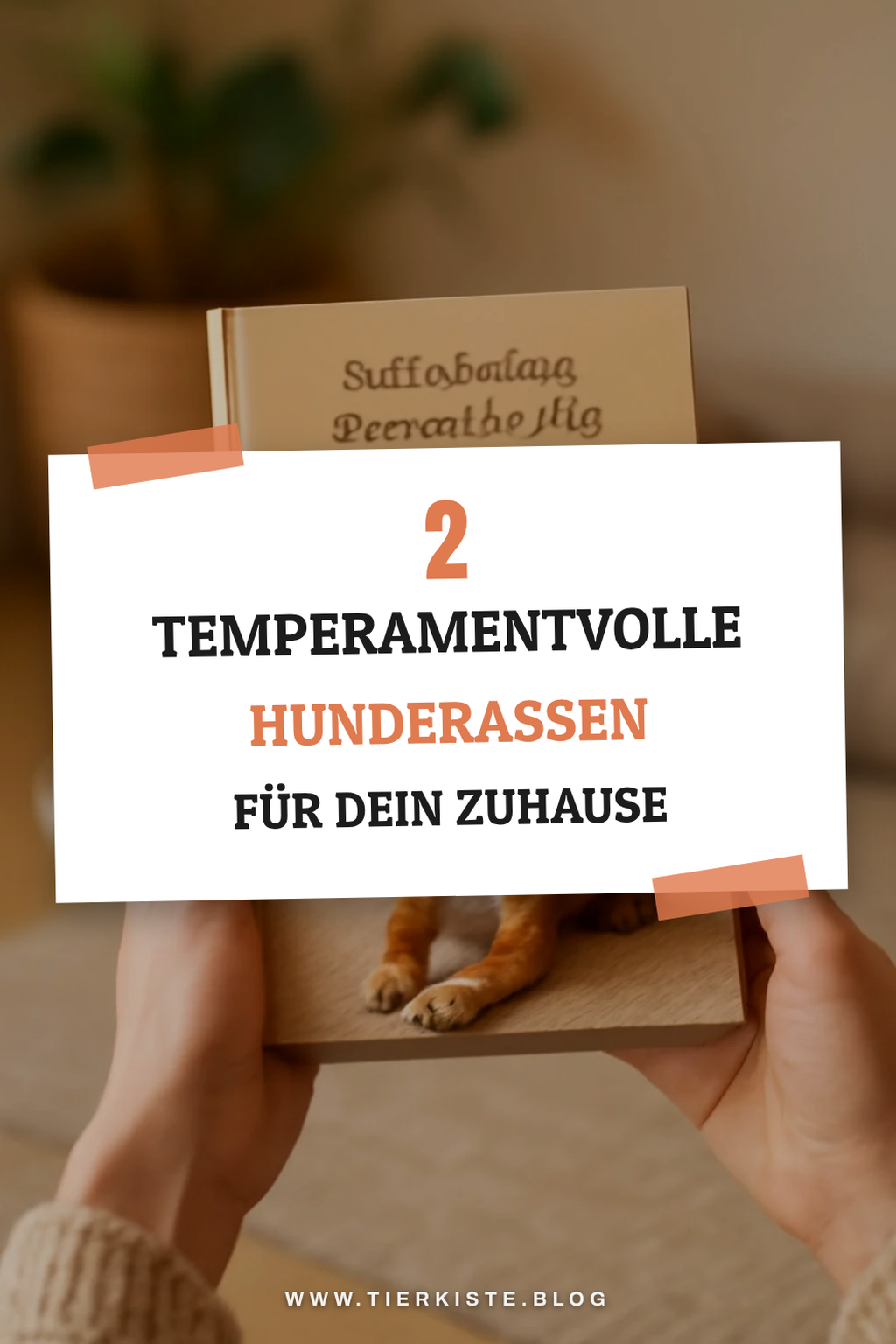 Das richtige Temperament für deine Haushaltsdynamik