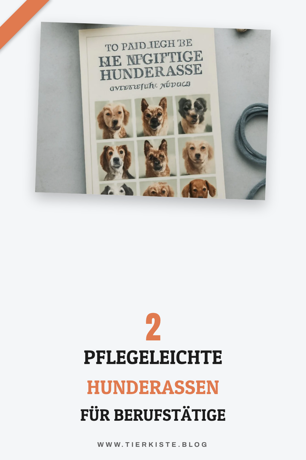 Berücksichtige den Pflegeaufwand der Hunderasse